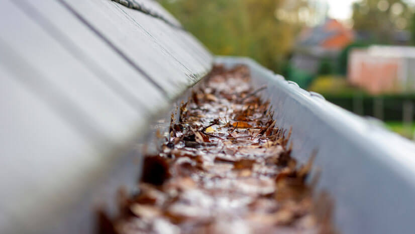 Our Gutter Vacuum & Cleaning Services Help To Protect Your Business