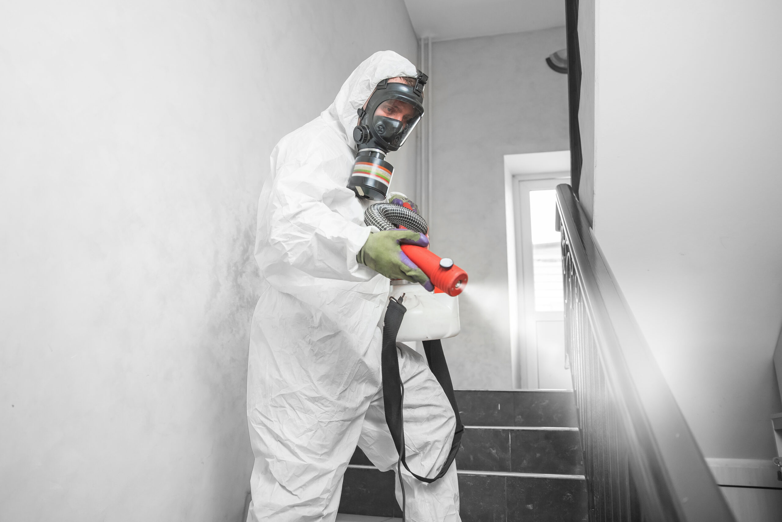 What Are Our Cleaning & Environmental Services?