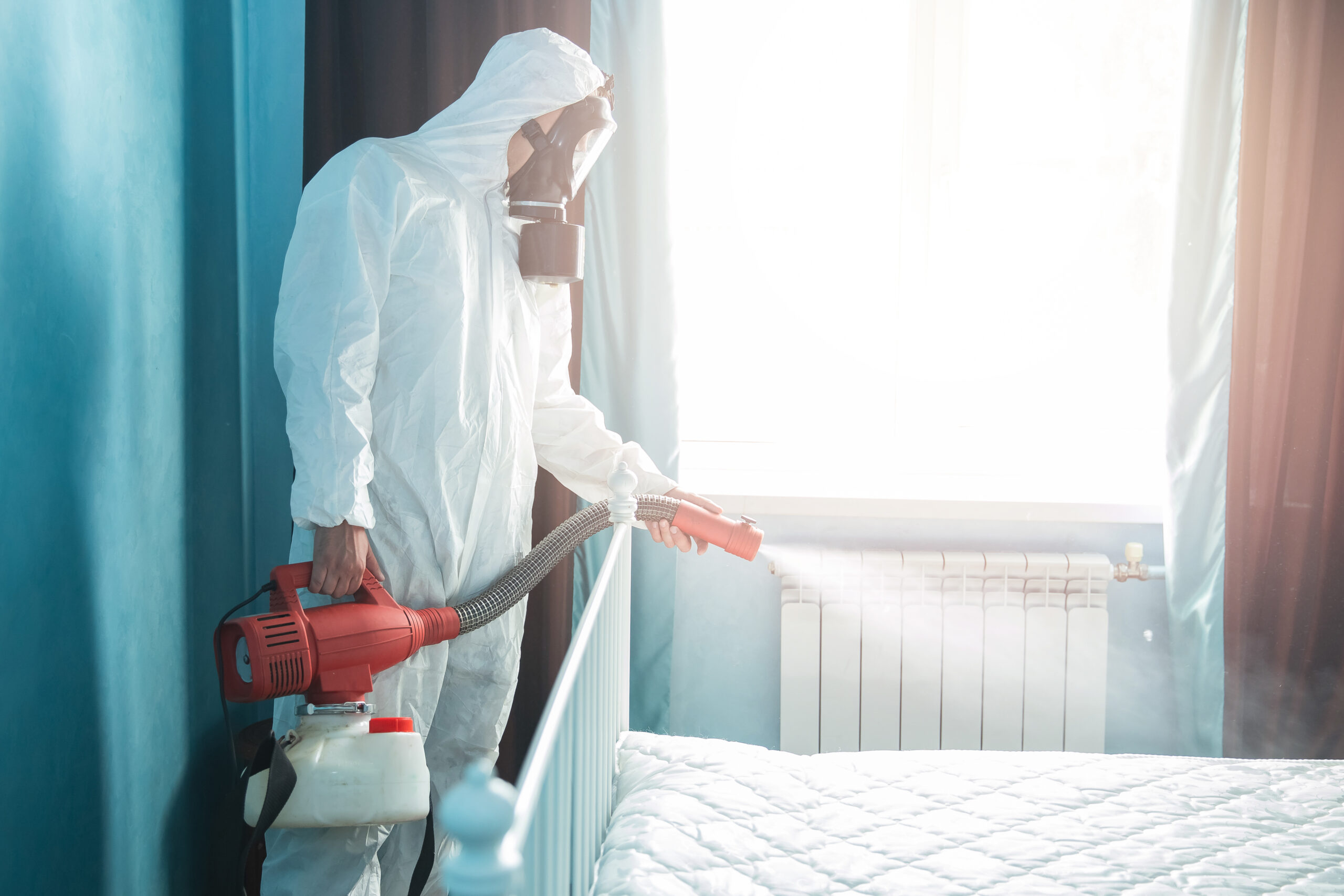Choosing The Right Pest Control Company: Tips & Considerations